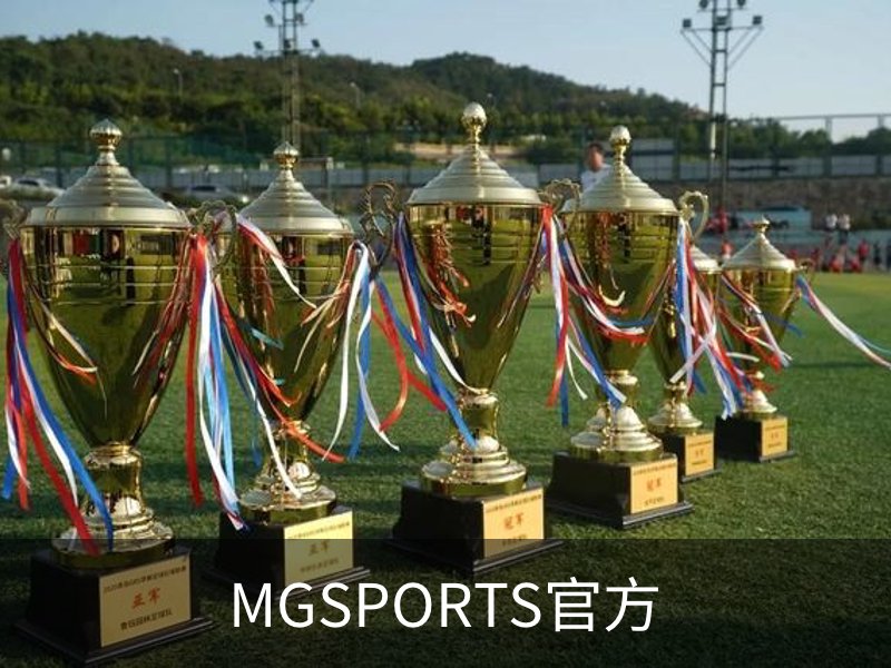 满贯体育官方主页-MG SPORTS