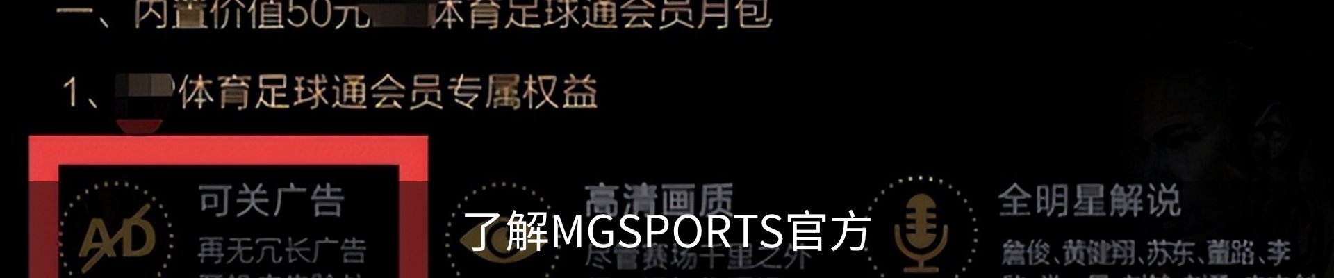 了解MGSPORTS官方